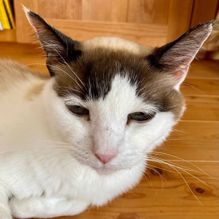 B34c419d ad08 4705 8619 f77c0abb3c05 1677037080852