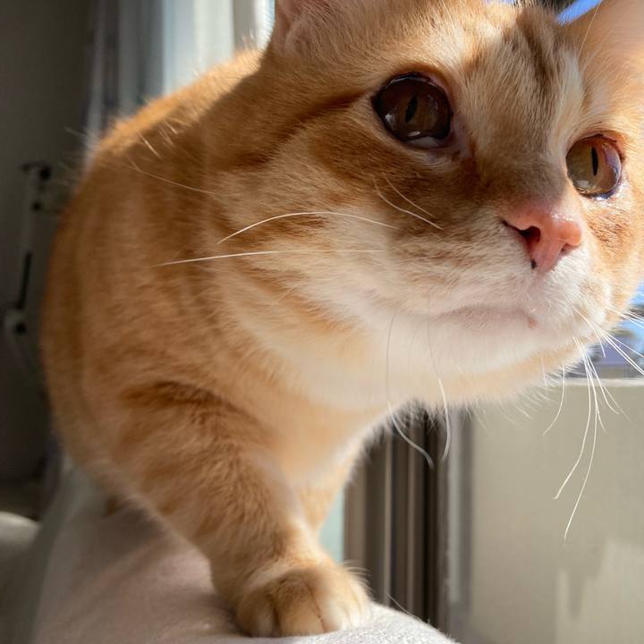 B34c51de 4713 421e b77a d70d87f174ed 1772935513526