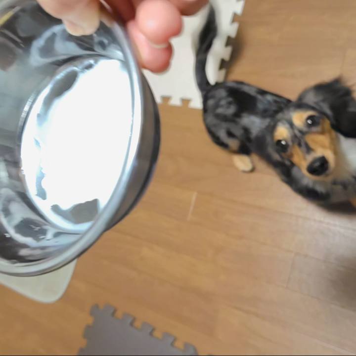 B34c74b3 1c48 4408 9f2a 241318a4aa14 1727912345679