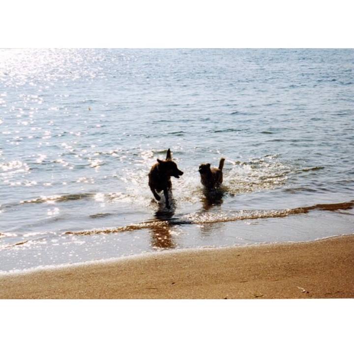 B34c978e 3fe3 49af b2eb a5c4be307295 1569274461194