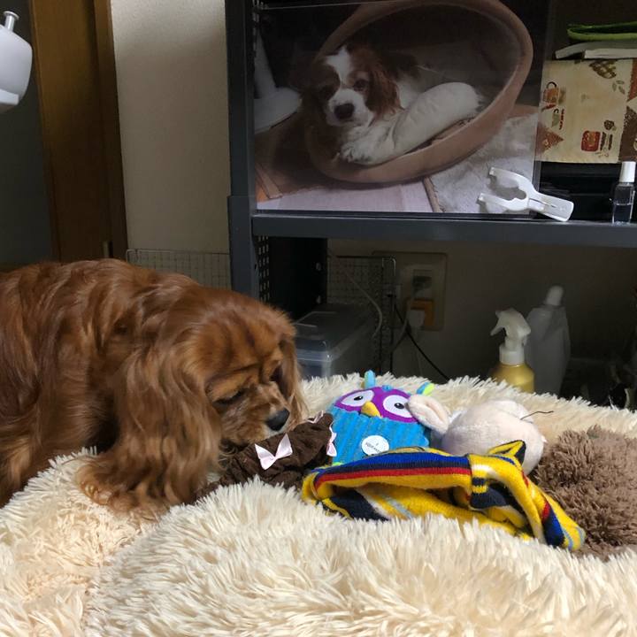 B34ca8a6 fb1c 4aec b6f1 da60161a25c1 1638743388992