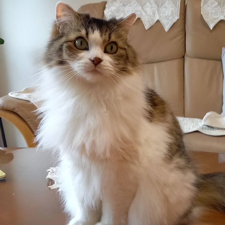 B34cd51f f524 4f45 a1ec 9d62af6e14ac 1632905634865