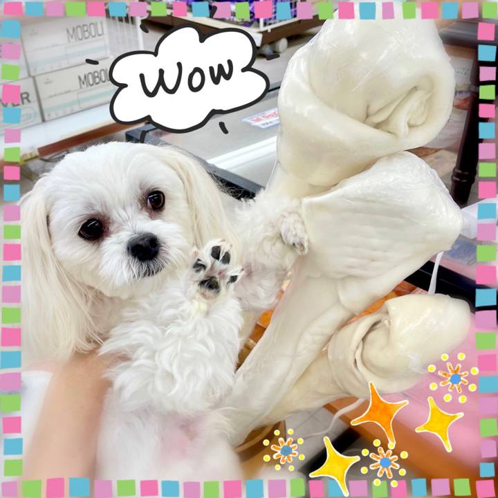 B34cf232 92c0 4e00 b8ec cab7f3d606f9 1629089760587