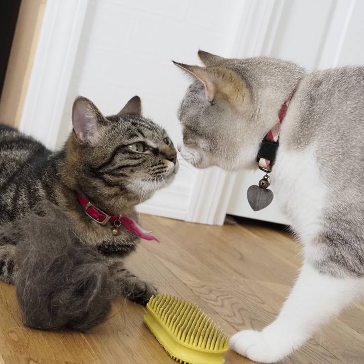 B34cf4b1 9200 41ec 8d83 1ae16a02de88 1623298237808