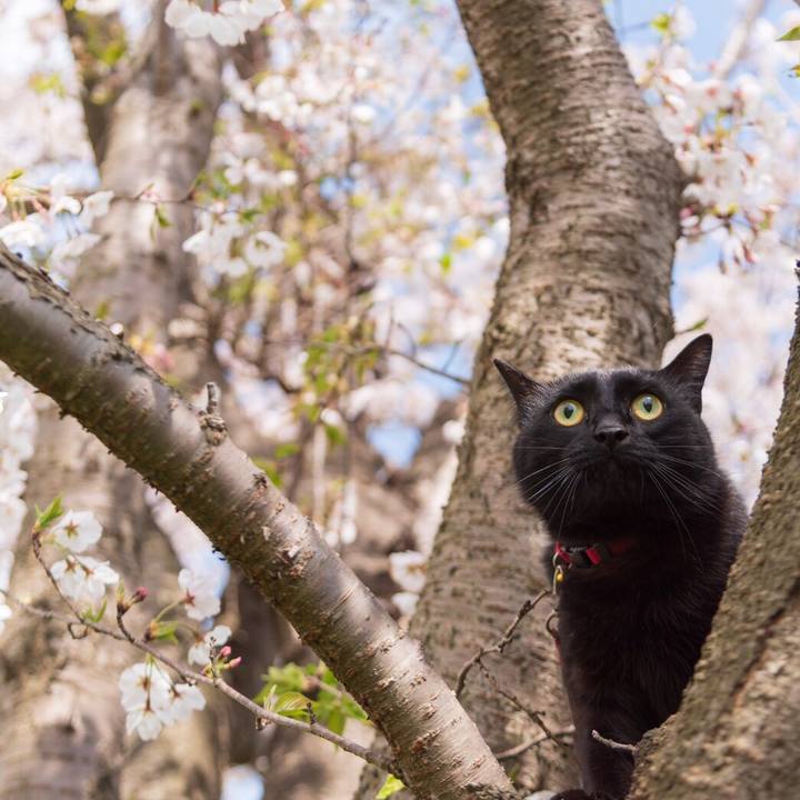 B34d2eae d63c 4812 b976 603333825b3b 1586693930766