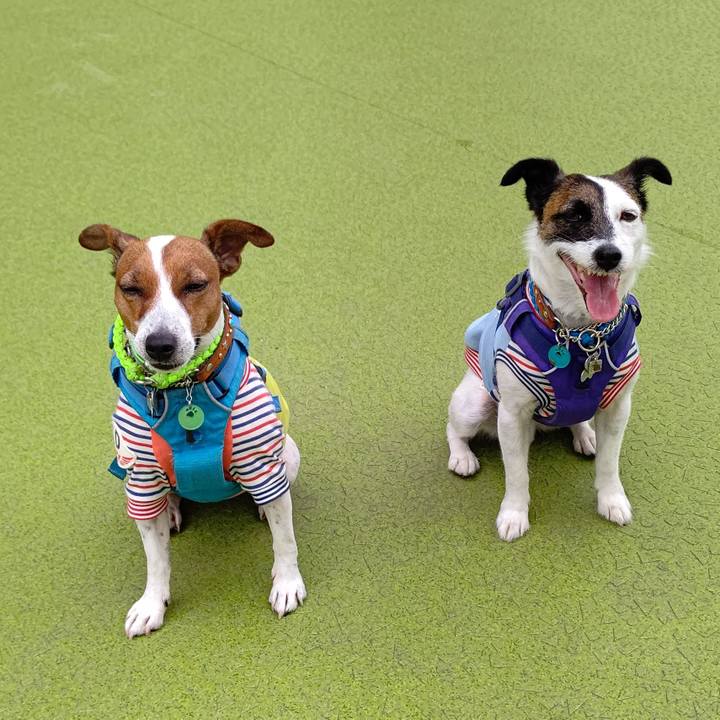 B34d3044 f619 47b1 b230 0001254c2ae6 1624320217211