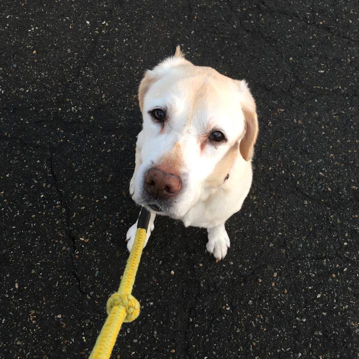 B34d3164 21b9 4a9f 8ebf fbd6711d2baf 1519769232373