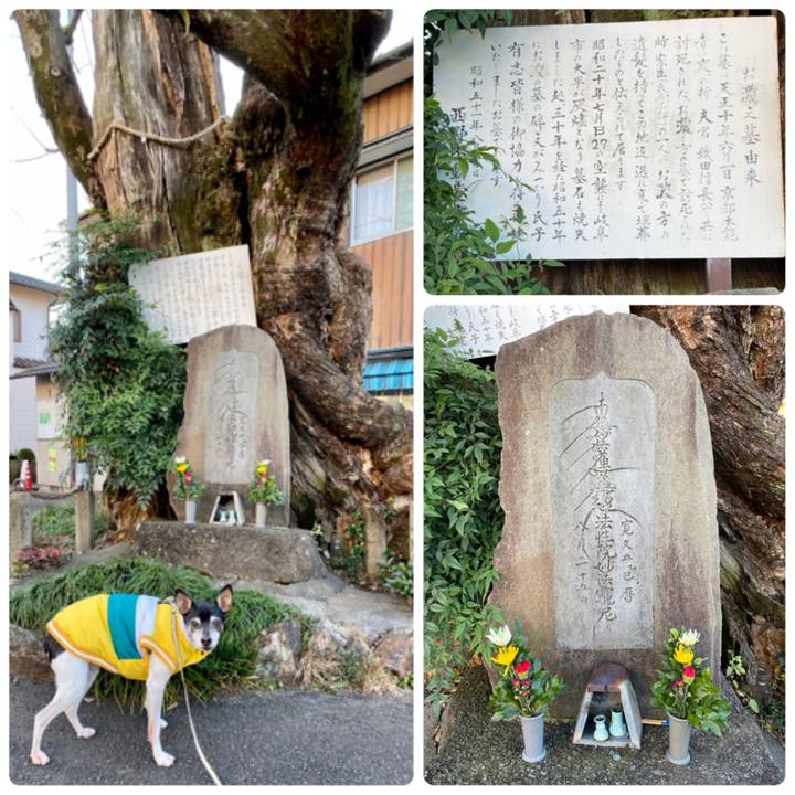 B34d49f1 2d13 463f b233 5e21a9bc7481 1577583815385