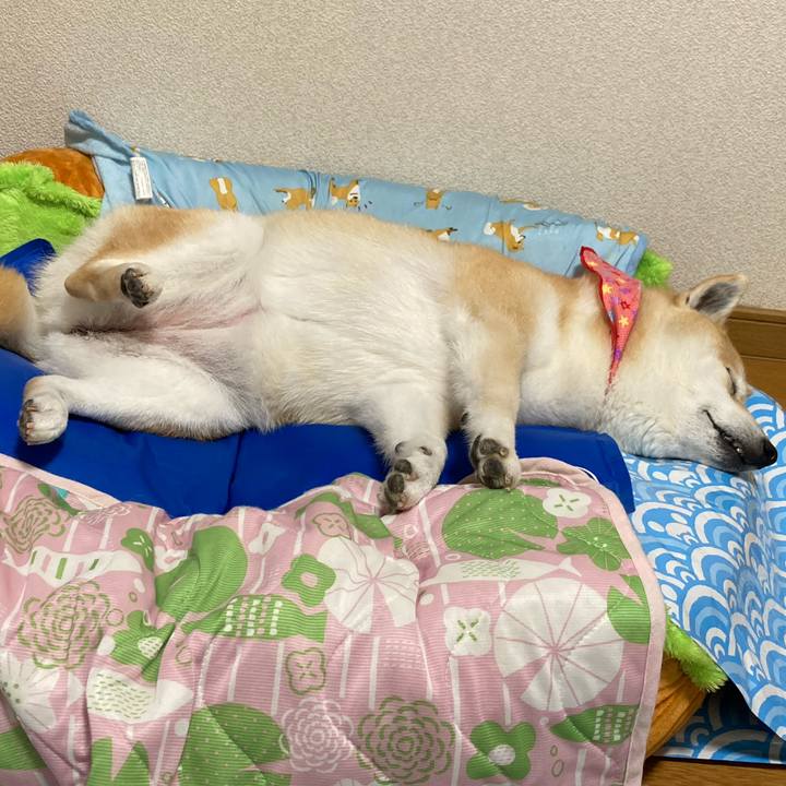 B34db8fa b306 44dd 9385 7c1745572474 1627420033094