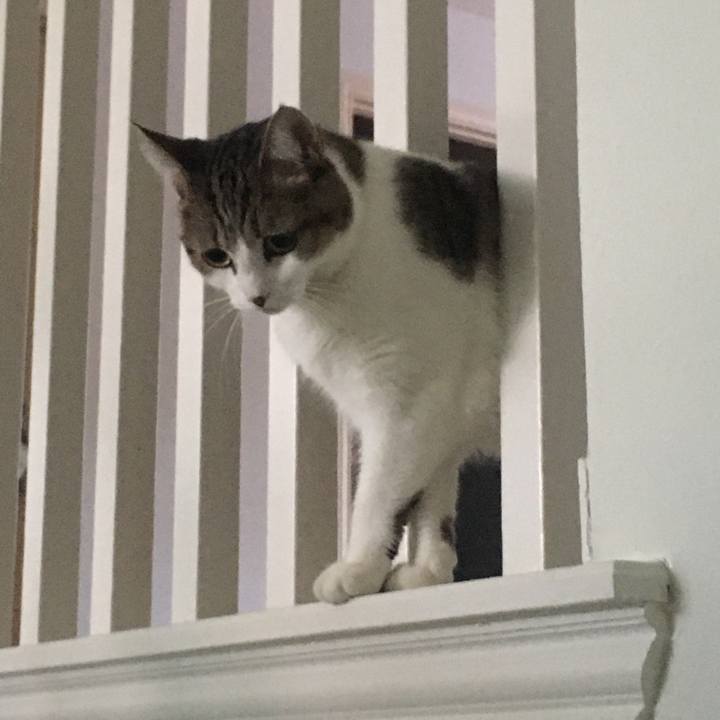 B34e109c bf3c 4d61 89bf f7e1e6ebc682 1663103233410