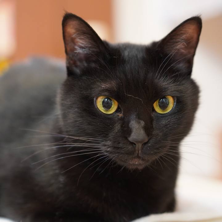 B34e1287 9e04 4490 81ed 713a12f9159a 1621464711378