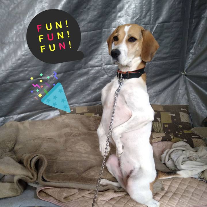 B34e409c bf94 406c 95df 055c182d888d 1633671738892