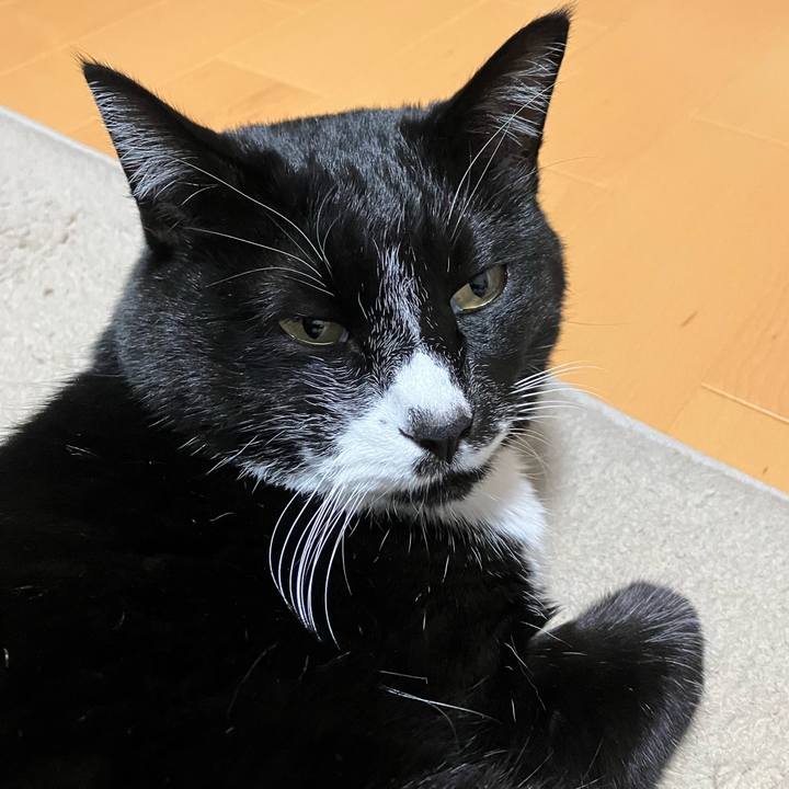 B34e5040 06f4 44bb b106 24982ab4ec25 1740022615252