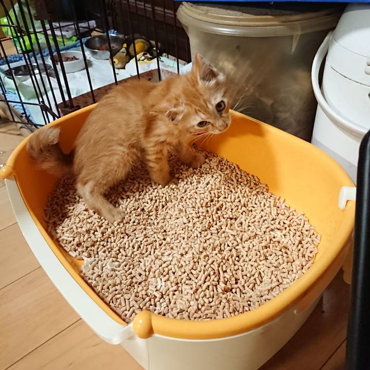 B34e64c3 7404 41c3 ae0e 2e4ff141cf30 1628069926088