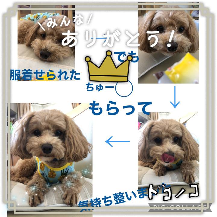 B34e781f 014c 459a a9e7 bdea650afcf0 1622864136414