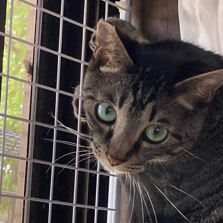 B34ead22 6ba6 4ddd 88d3 2f716fe20a68 1690531794622