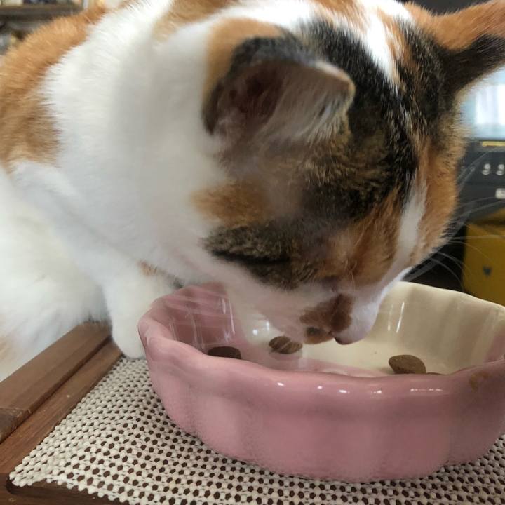 B34ed179 bd39 40a9 9072 f54fd08164bf 1605326456784