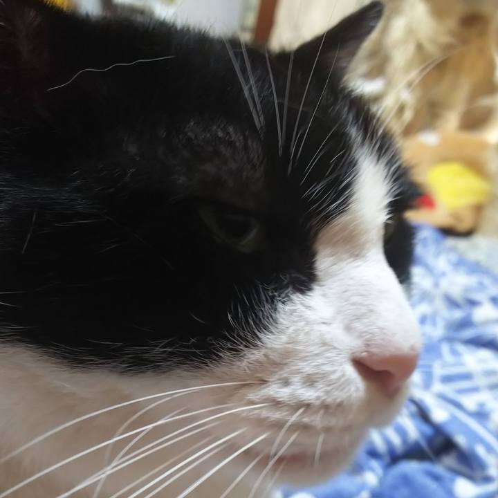 B34ee617 26dd 4873 979c f3cc3a9ea6ff 1567813855393