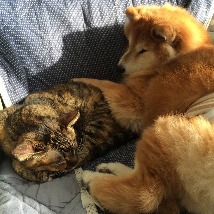 B34ef656 27ad 4d84 a29e e37240726a37 1519260638443