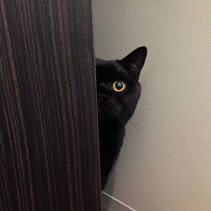 B34eff52 41cf 45ef b390 ee95a2d97eae 1573051020514