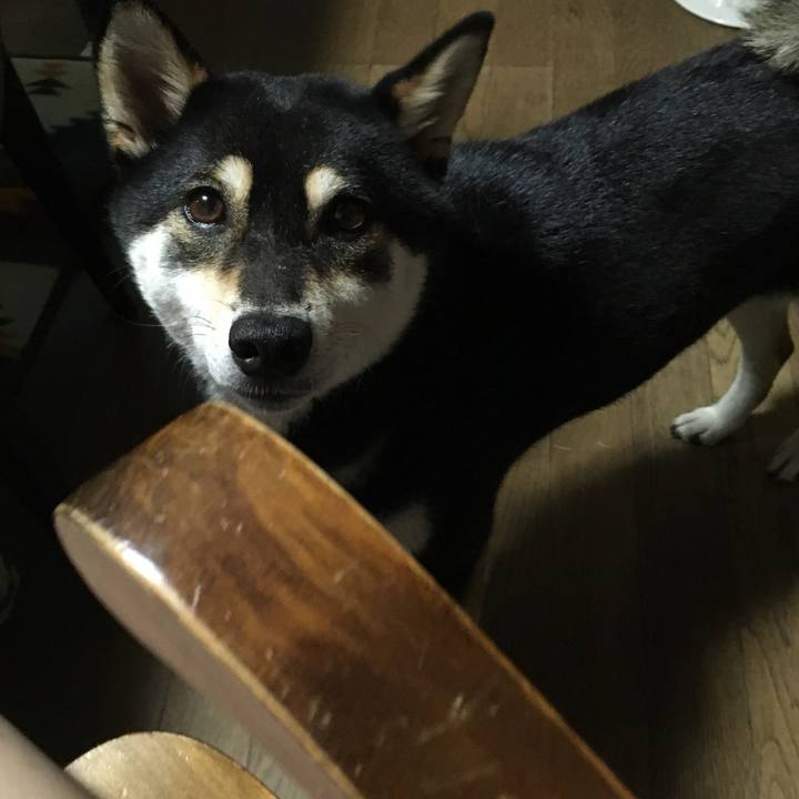 B34f3f41 88e4 4e5f b88f 503c2d3cd86d 1530744014112