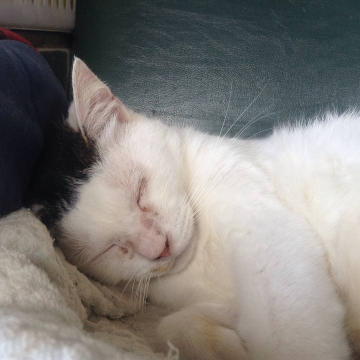 B34f53ba d567 4304 88c1 ea02c64c22a4 1562148164149