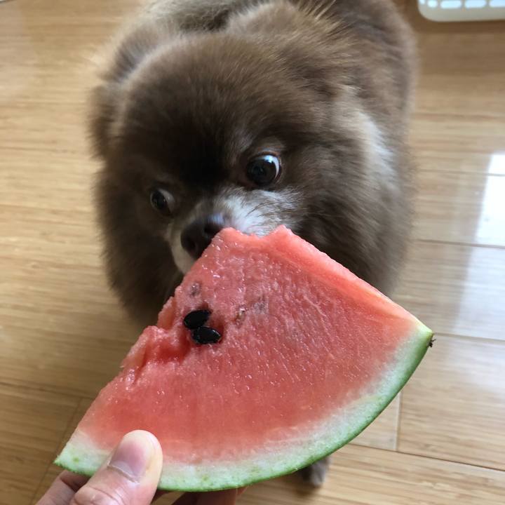 B34f6baf ec62 4062 b9ac fbfcebff3f5f 1532551997257