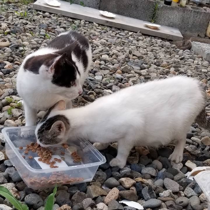 B34f7201 3246 4b6a a1fe 43db0b8787b4 1562062830110