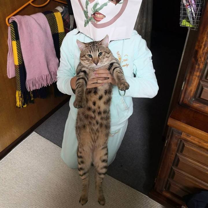 B34f7e61 0efd 4576 9b75 85d3129eae89 1580892756667