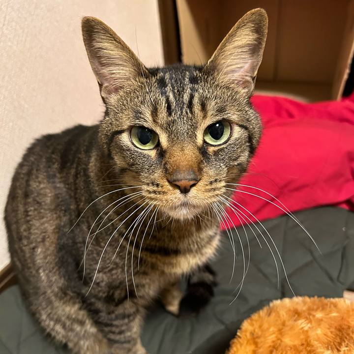 B34f87e8 d75d 4a73 9162 101d6676798f 1673702823395