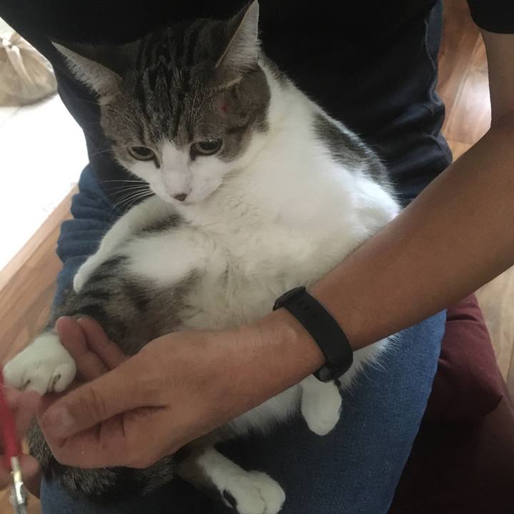 B34f8a2a 8802 470a 8f87 4286953d5d20 1661474695118