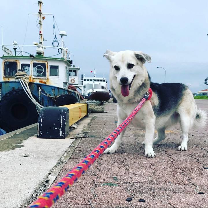 B34f8c69 f37d 4fba af89 aafa1d29def6 1597444879694