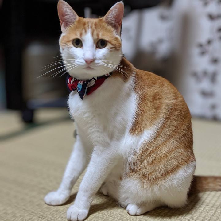 B34fdfce 7d38 4709 86b8 429f69183290 1567680709993