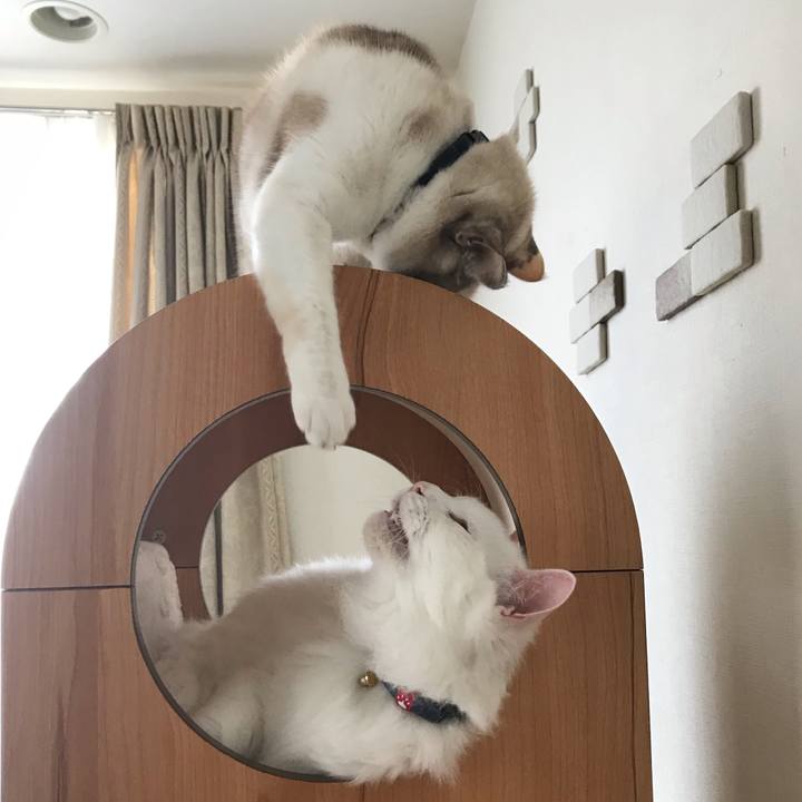 B34fed73 4cbe 41aa aebb a55c5c6a2dbb 1546348296851