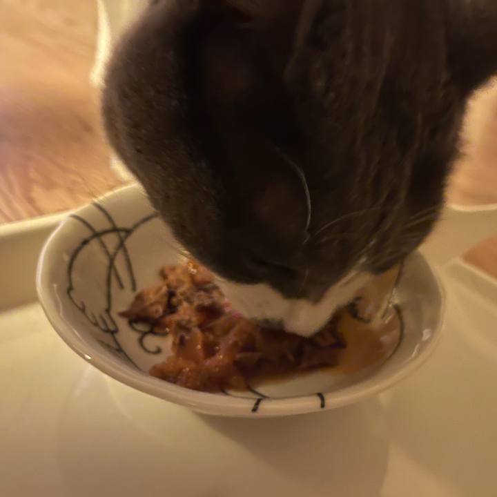 B35016b6 6626 4ce4 aac2 9715b5ed05bf 1659263591211