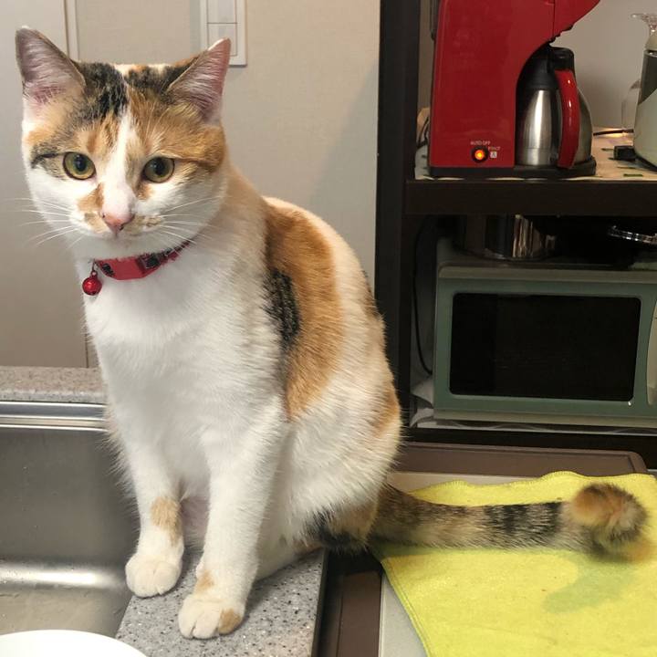 B3504df6 2818 48a4 a33d 76129d39d084 1581551278357