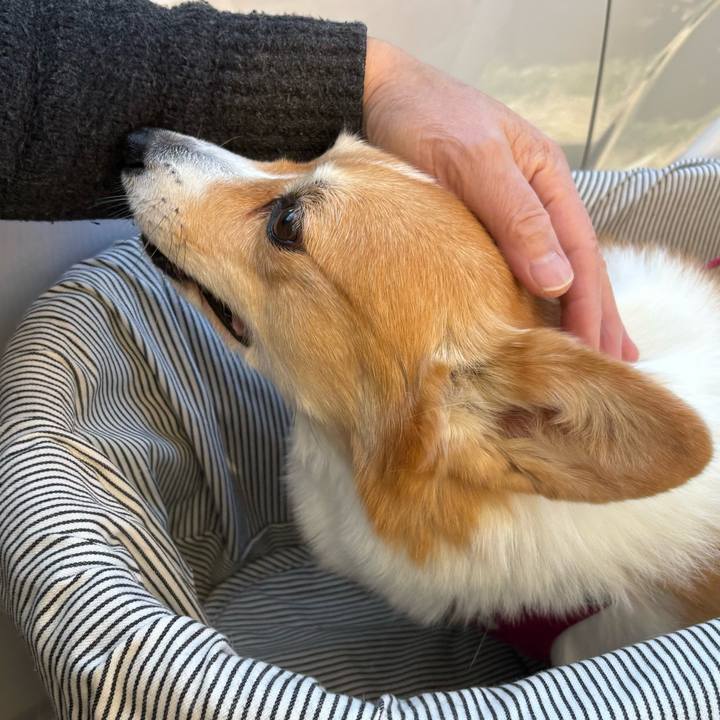 B35065c9 8194 4276 b511 3036ab94b53c 1735729589037