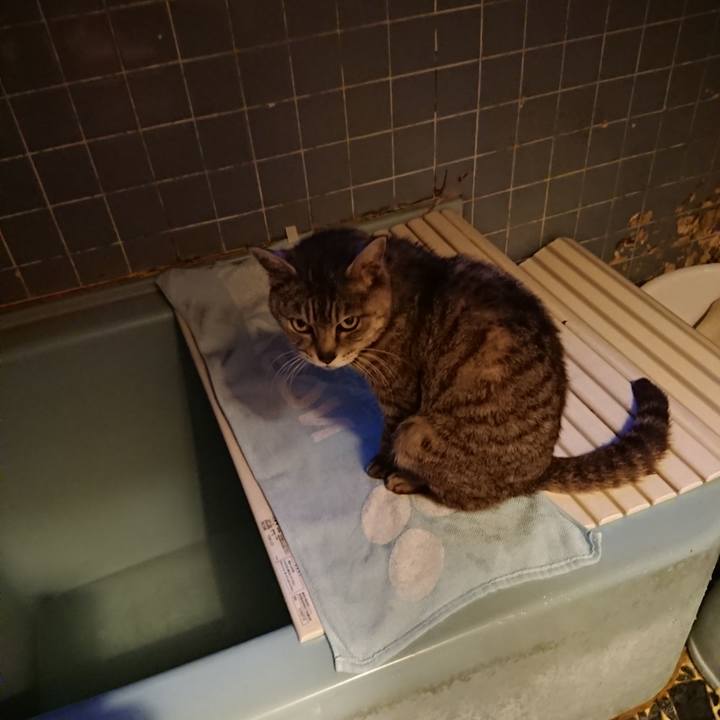 B3508484 3283 4d0a 9e7d 0aa218e1e544 1591093500120