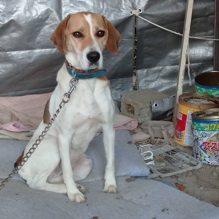 B350ac0b 808f 497d b6a5 d4467e4ceabd 1605408753489