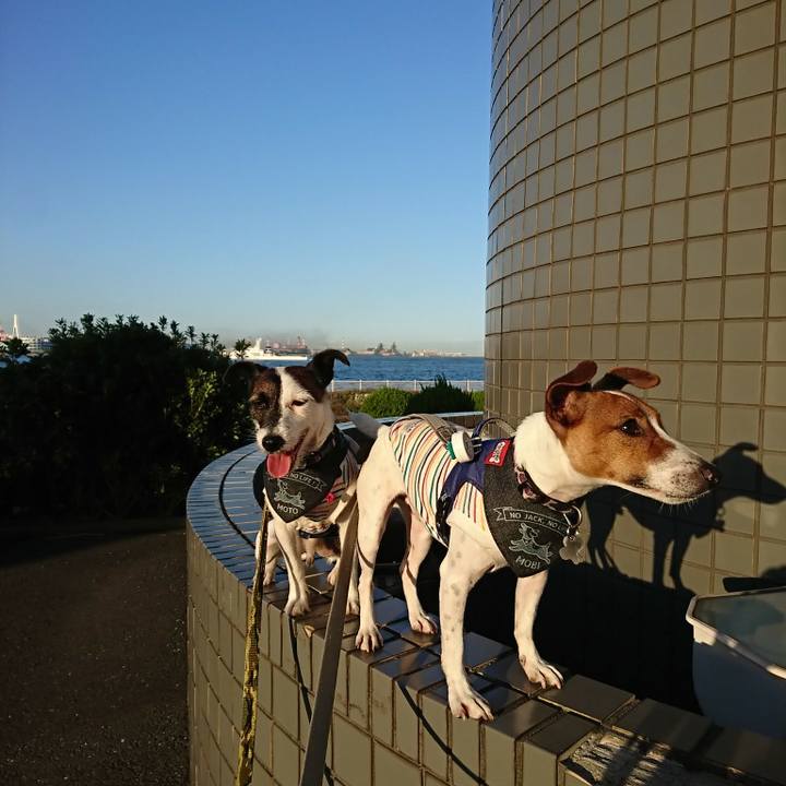 B350add0 bd98 4cfc 948b 8403645d083c 1538909370922