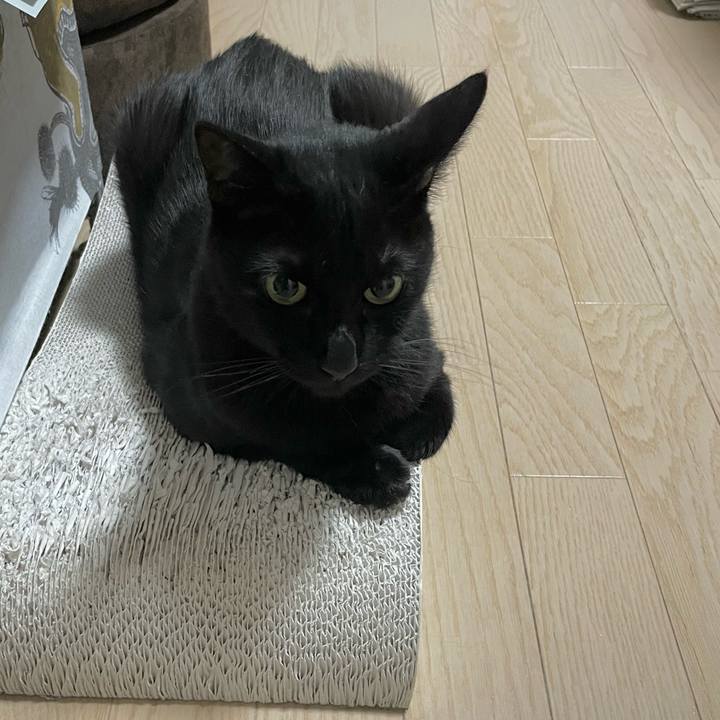 B350ae54 6b83 4f4d a677 a0c23a89bdf7 1687351441676