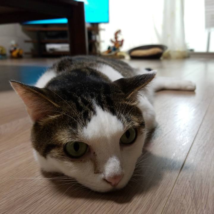 B350afef 4fa4 442b 8381 113a87efb74f 1563397738813