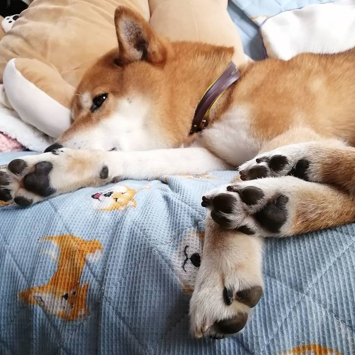 B350c5e3 ac49 4794 aac5 0737e10a7f30 1620451132682