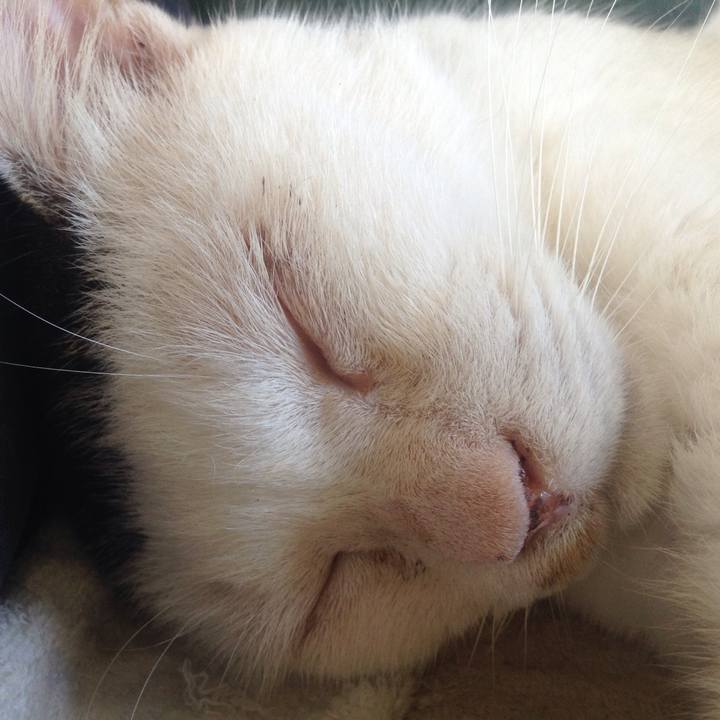 B350dee1 6b77 4c32 aa3e 962566dac14d 1567829997126