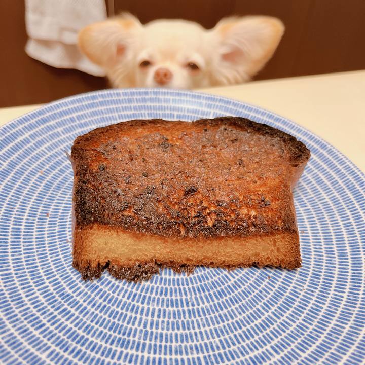 B3510e1d e50b 43fb bf5b 3e7c44a3175c 1668417787384