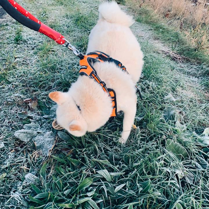 B3510eca fdde 4196 a089 6cc85af265f8 1667874211662