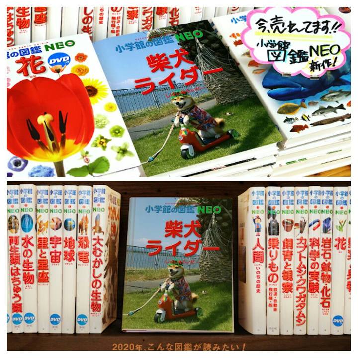 B3513e5b 333f 4f8d 87b1 b849db009119 1578133490337