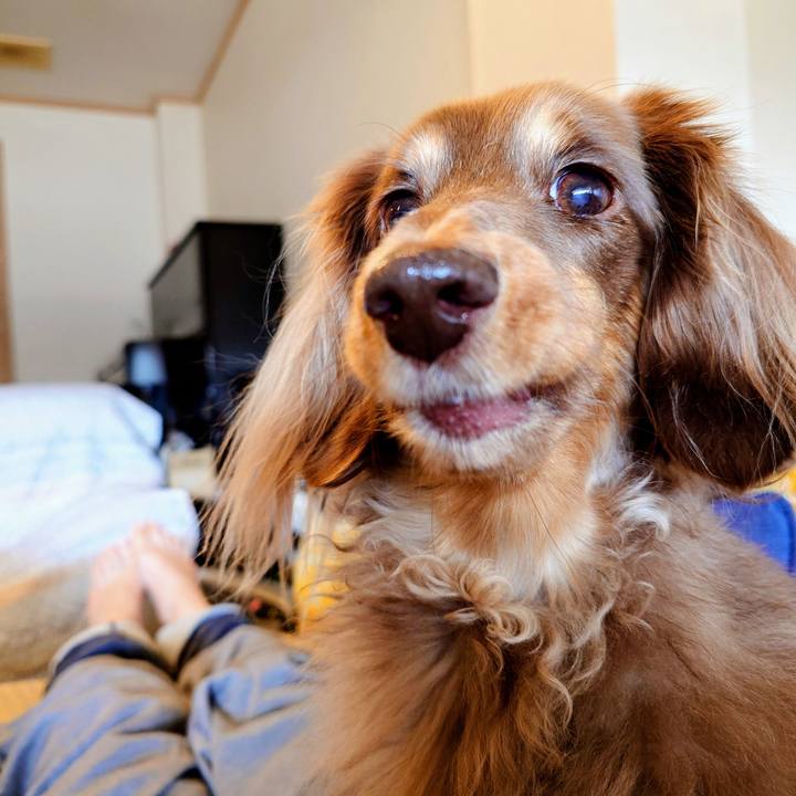 B351562c a5dc 4344 856b a43b07cf486c 1763177533292