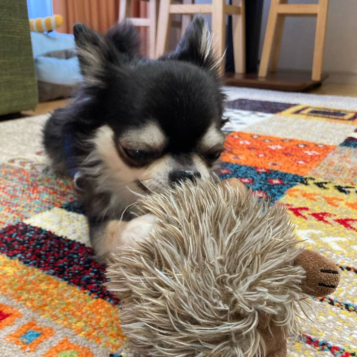 B3515914 afa2 49e3 b9c3 09c8a2e12445 1689519520924