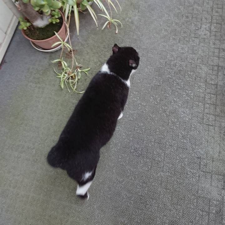 B35190cd 6879 4b39 accf 8042dacbb09d 1629154421152